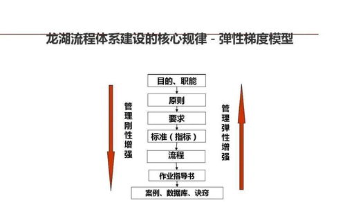 龍湖集團 以精細化管理鍛造企業(yè)標桿的運營之道