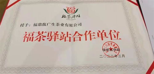 福茶驛站攜手合作企業(yè)，借僑優(yōu)勢揚帆出海，共謀茶業(yè)新篇章